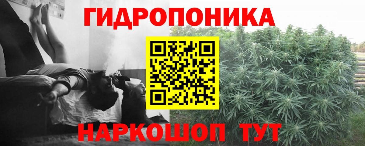 Конопля гибрид Ялта